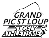 logo removebg previewtransparent